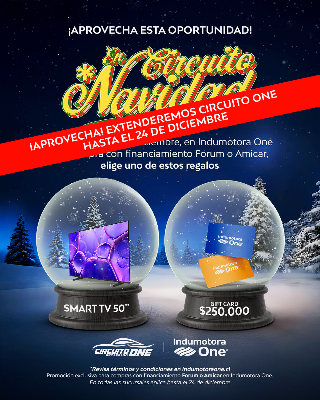Circuito navidad